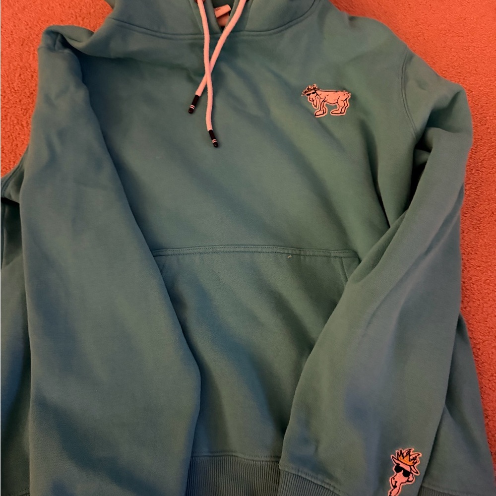 Teal Hoodie with Embroidered Accents